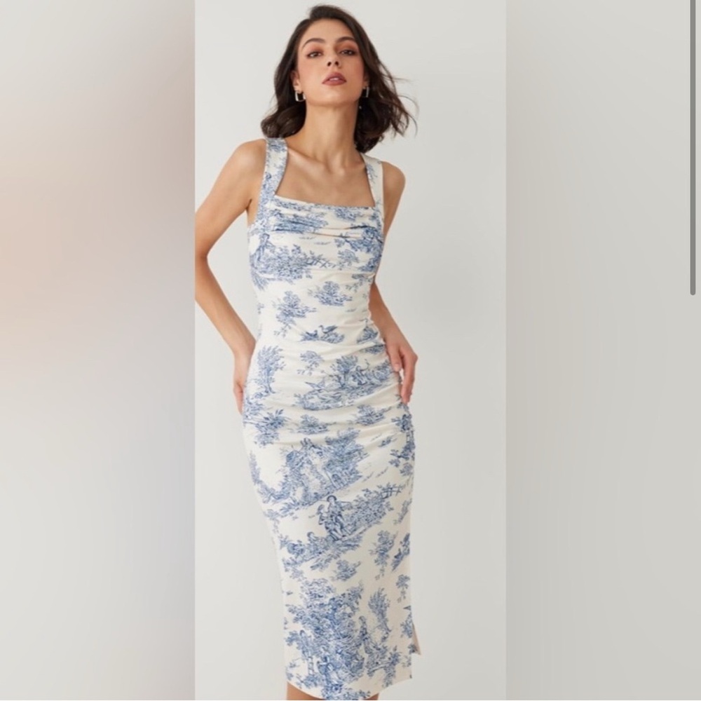 NWOT Cider Toile Dress